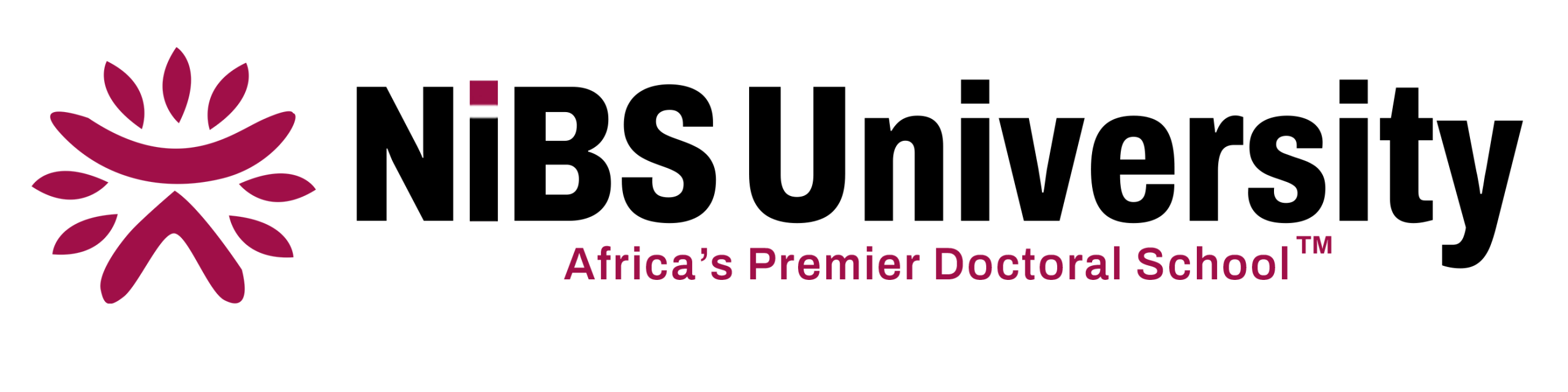 real logo NiBS-Updated-no-accra